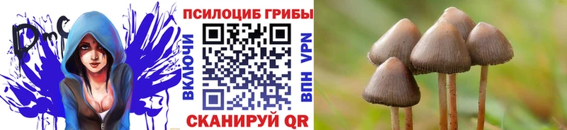 Псилоцибиновые грибы ЛСД Шатура
