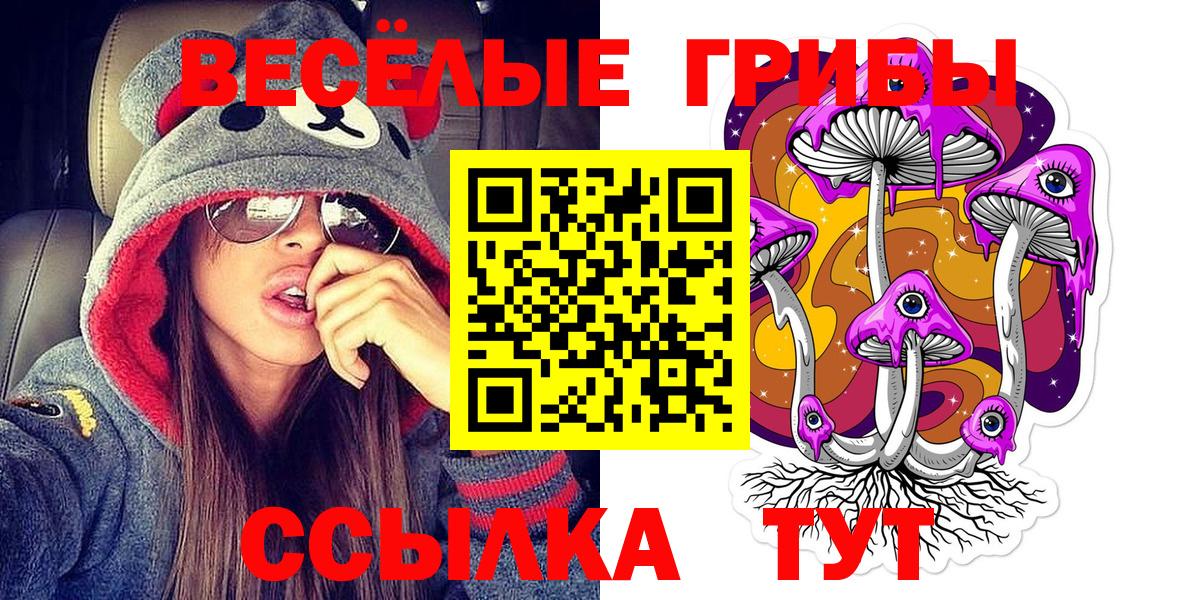 Псилоцибиновые грибы MAGIC MUSHROOMS Шатура